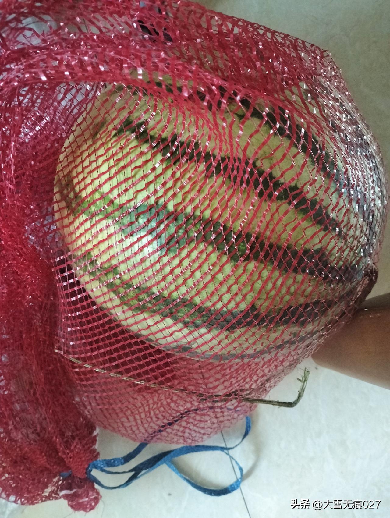 今天这个西瓜，是仨黄毛给的！
今天中午在路边看到有卖西瓜的，围了不少人，就凑上去