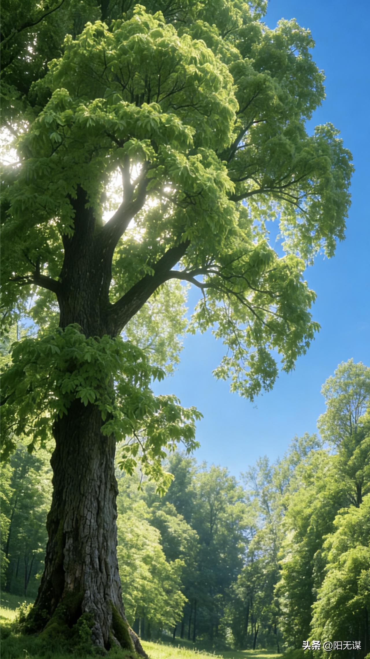 村长说：
“回老家过年，有钱人和没钱人一眼就能看出来。​有钱人回来不讲究衣着，穿