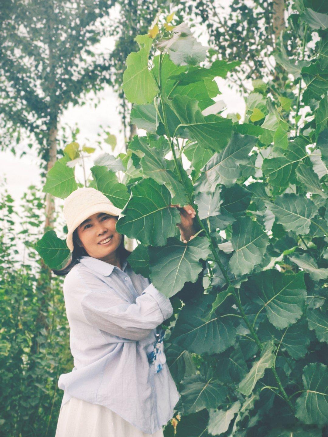 那些巨大的白杨叶子以及地头新打的麦草墩好多年不再见到大叶子的白杨树在我们的小时候
