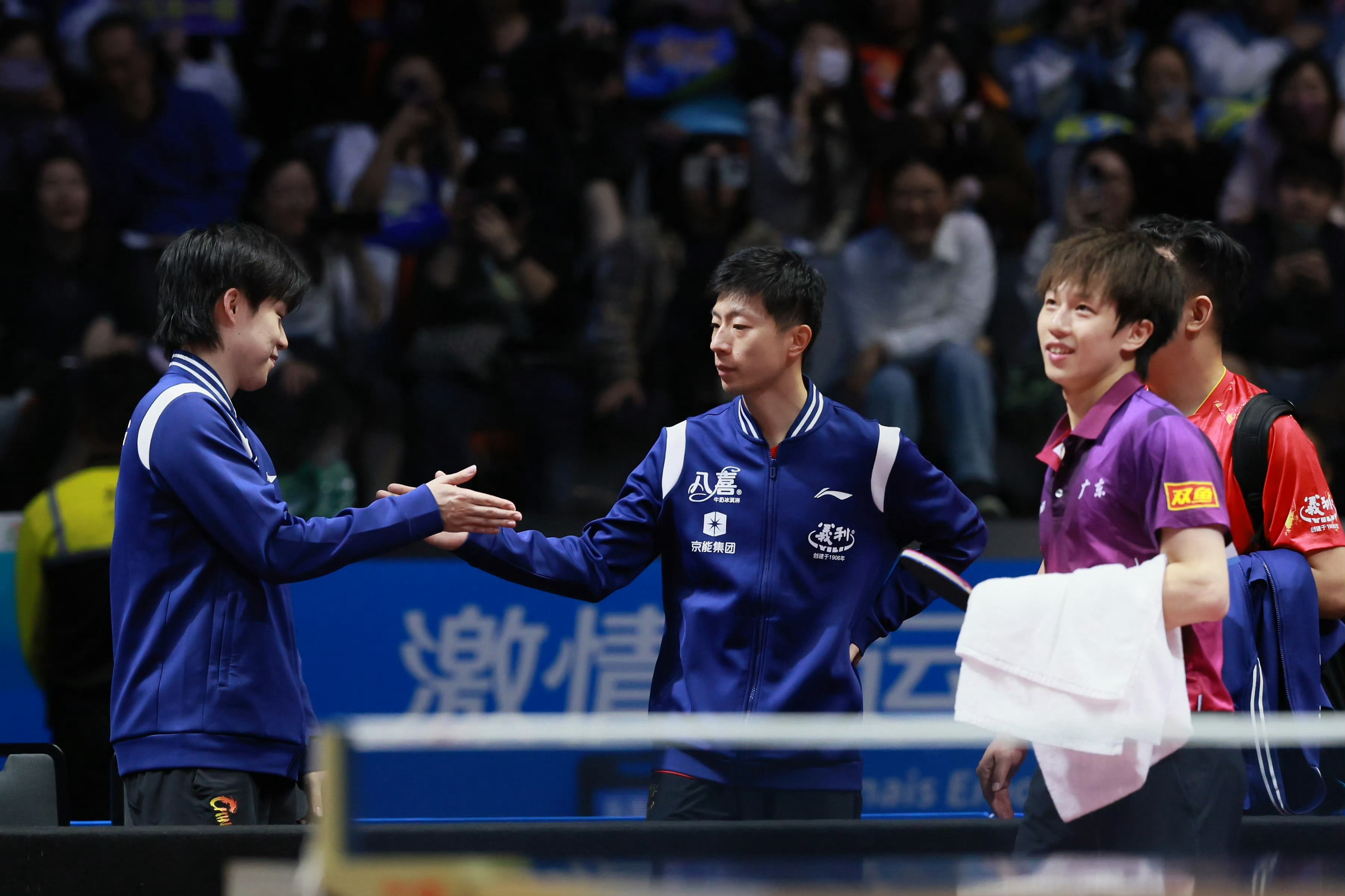 冷脸击掌 喜欢得不得了 有想要做狗的冲动 