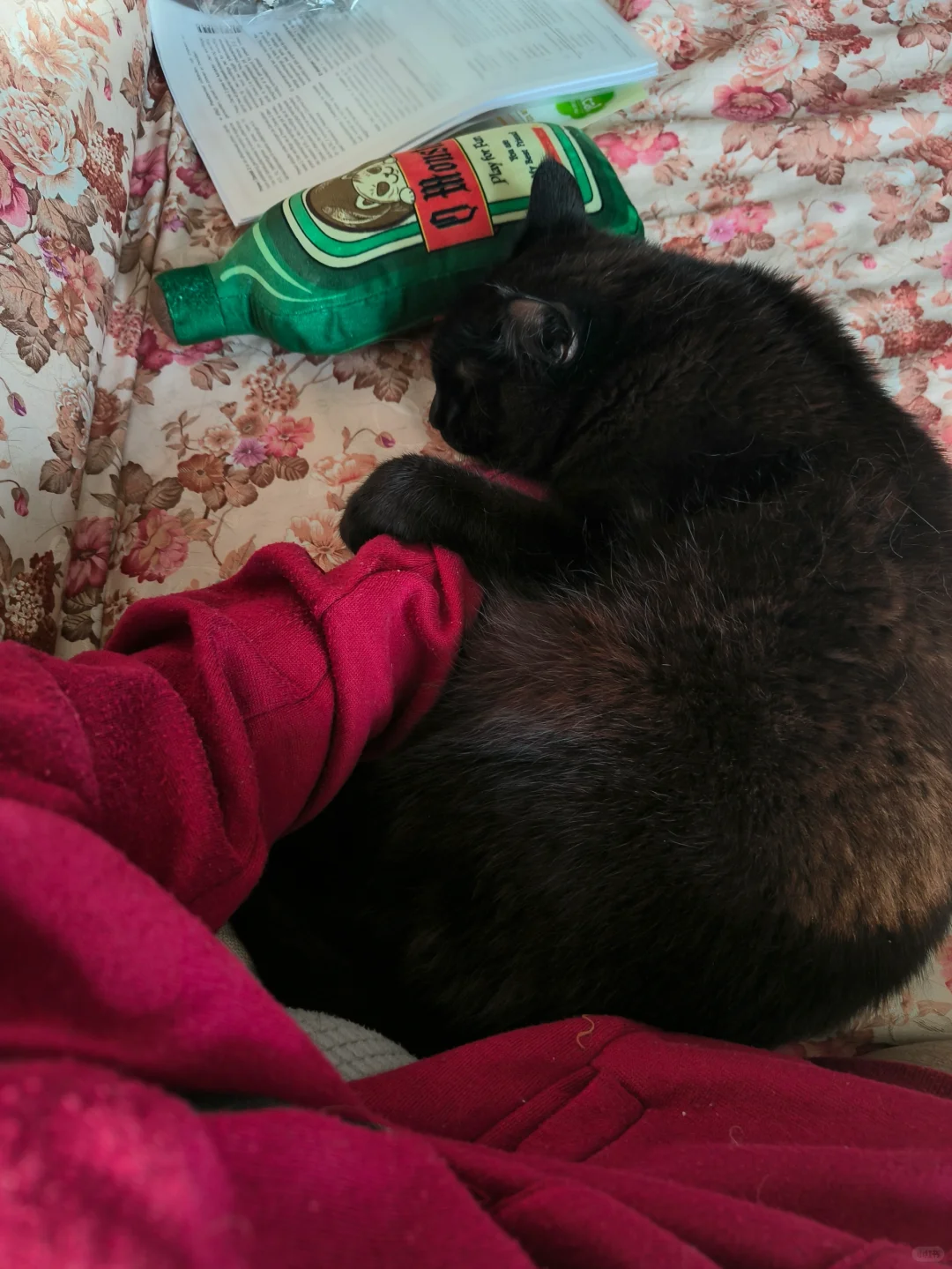 猫牌暖宝宝，恒温发热，还带震动按摩