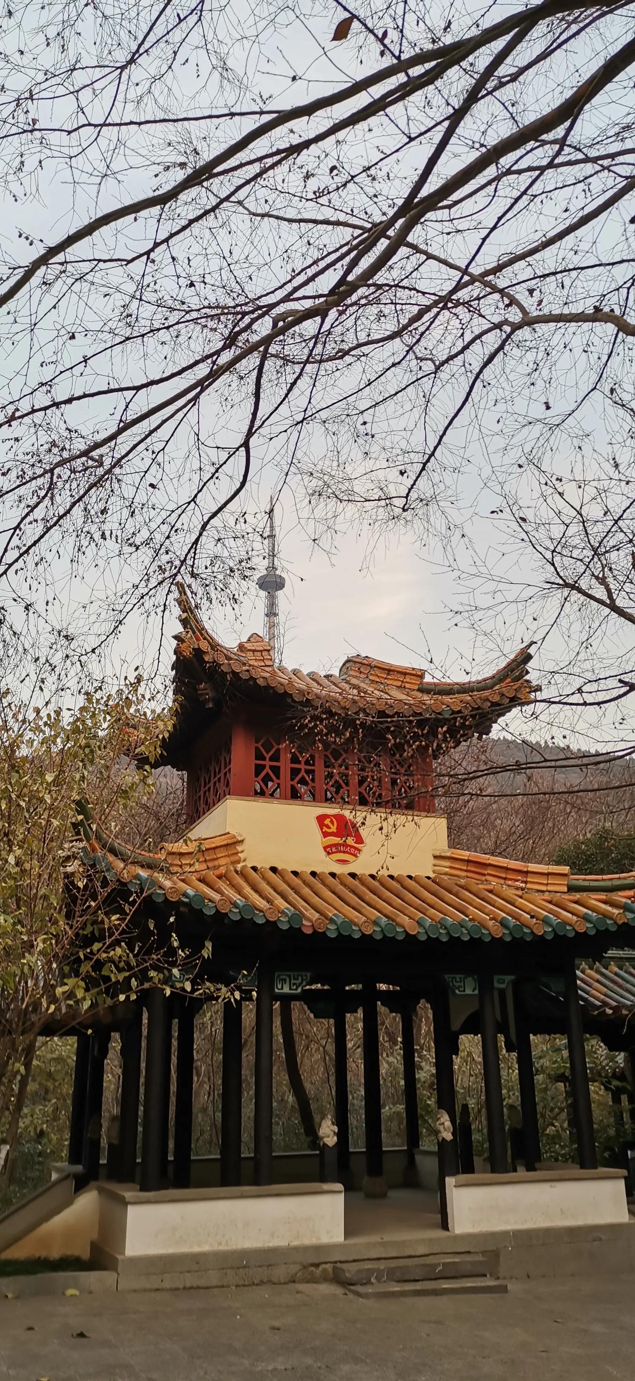 随手一拍风景照。