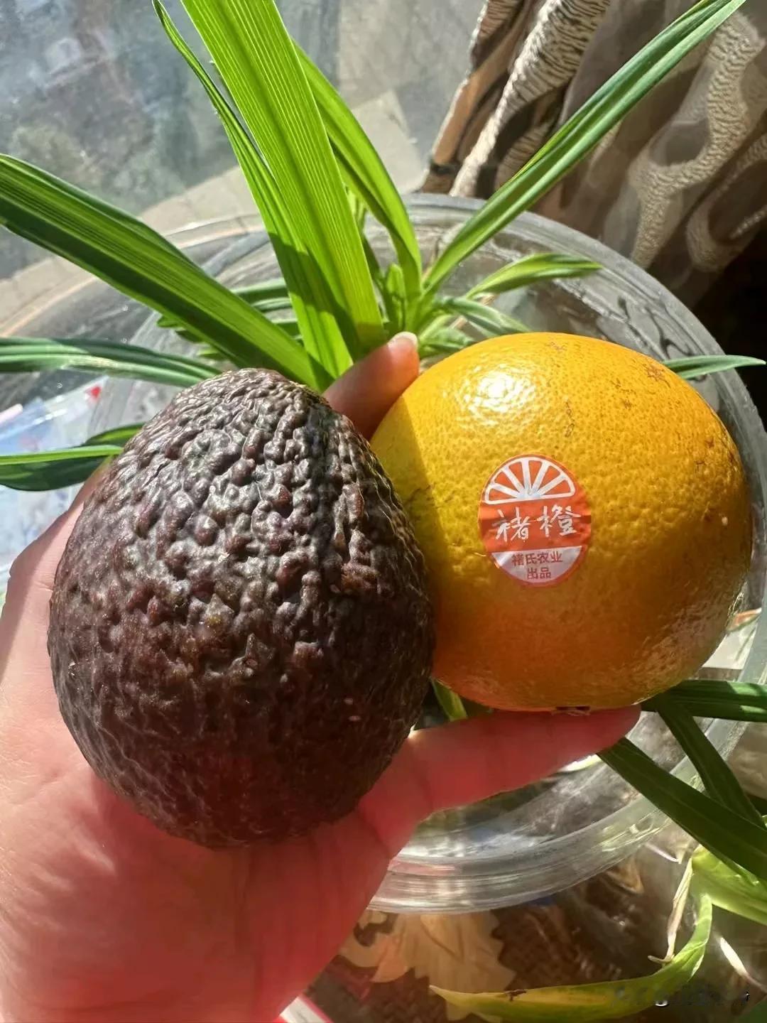 快乐是需要学习的。
不快乐的时候，试着去靠近一个正能量的人，换个角度看问题，	培