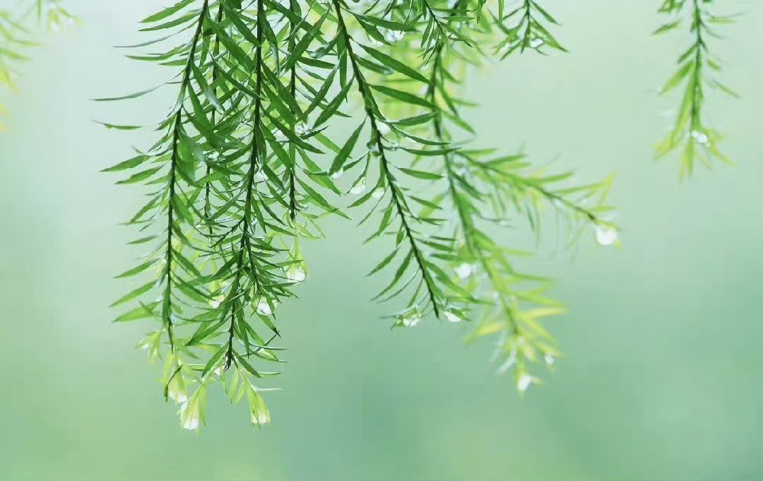 事实上，生活完全是由关系构成的，我只能在关系的网络中观察自己，坐在一个角落里冥想