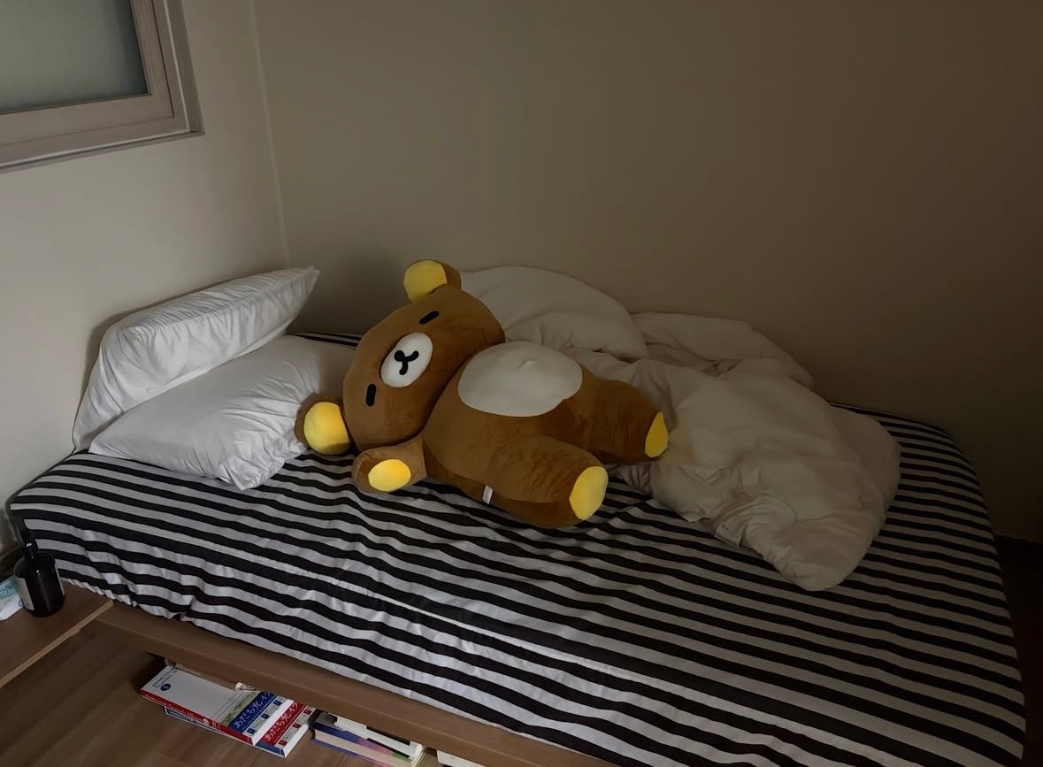 🤎💭💤 ​​​