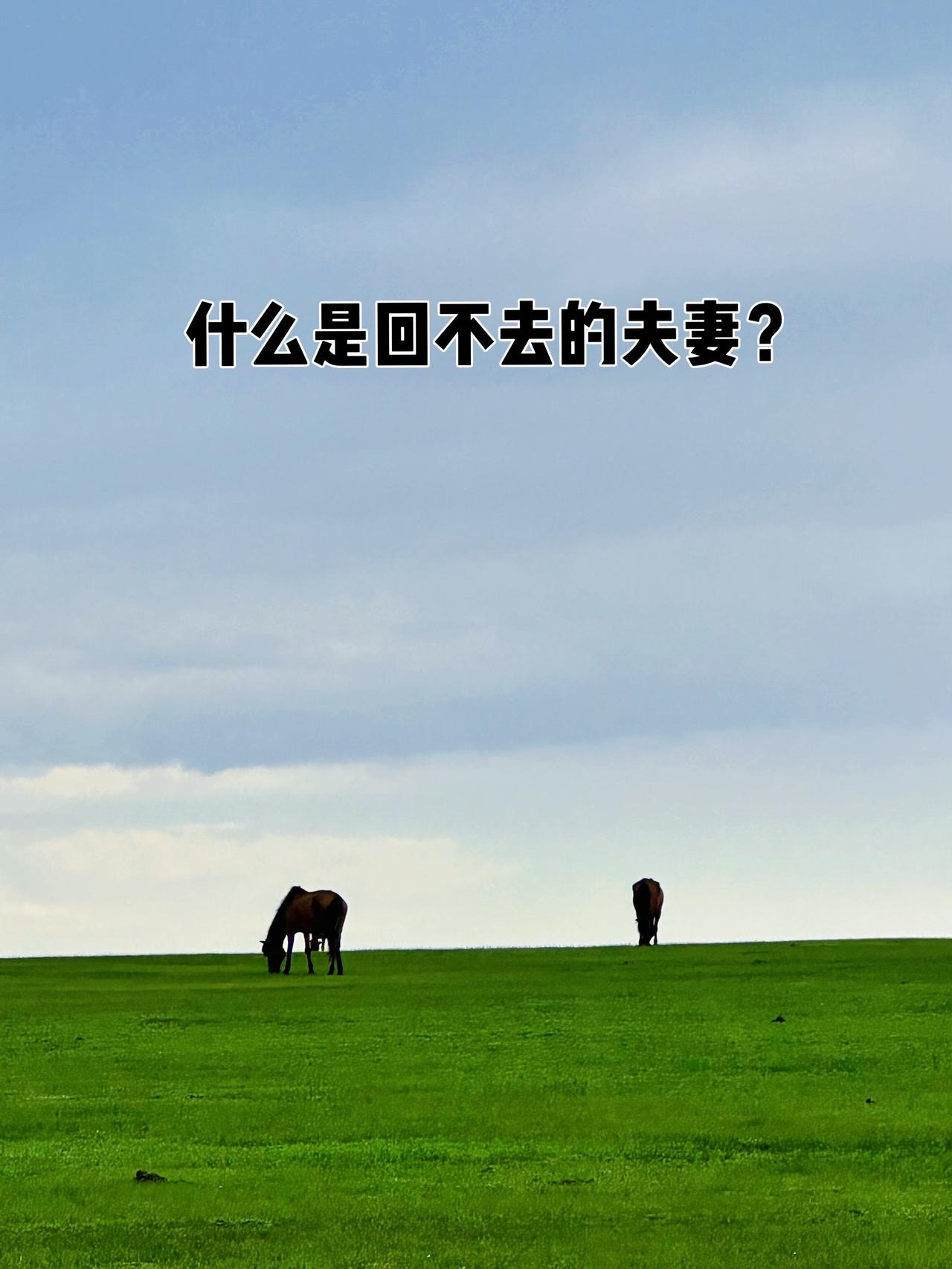 只要夫妻之间出现第三者，就再也回不去了，没有出现第三者，任何矛盾都可以化解，就算