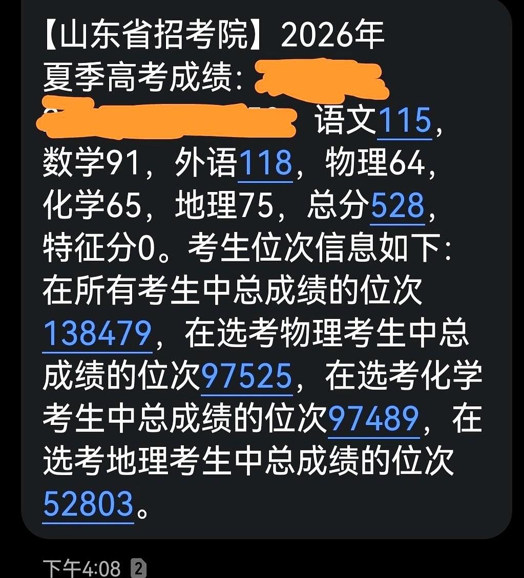 屏幕上亮着一行字：山东，物化地，528分。鼠标光标在这行字旁边不停闪烁，旁边的《