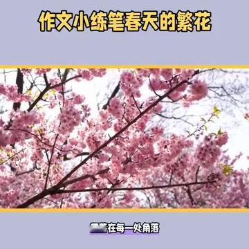 作文小练笔：春天的繁花。
春天的繁花宛如大自然的调色盘，洒落在每一处角落。它们犹