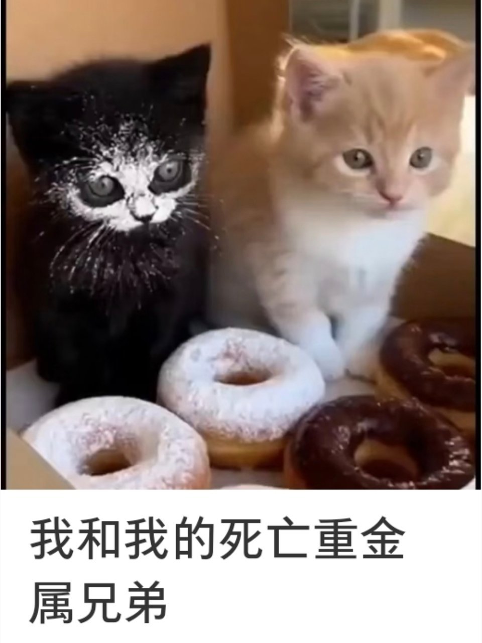 完全 