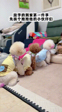 养娃又养宠，快乐直接翻倍！这画面太治愈了😭
 
谁懂啊！养娃又养宠的快乐，真的