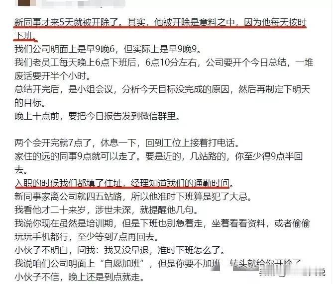 新人入职5天后被开，原因竟然是他每天都正点下班[恐惧]底层HR告诉你，还有很多特