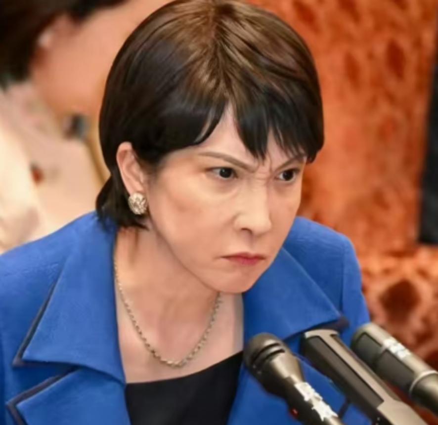 日本政府正式宣布：从2026年开始，外国游客的签证费要涨价了，这可是48年以来的