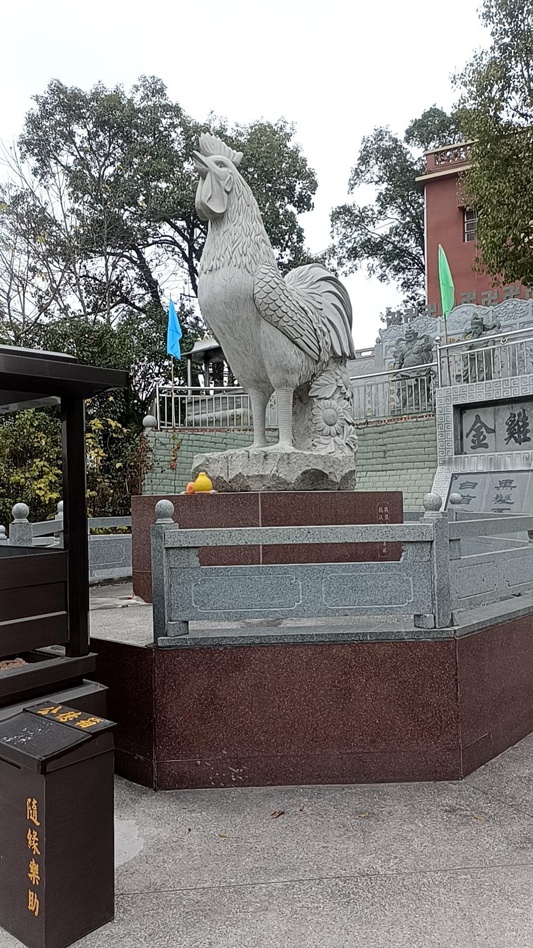 我们家的鸡鸣山，这可是真的有鸡的啊[捂脸]