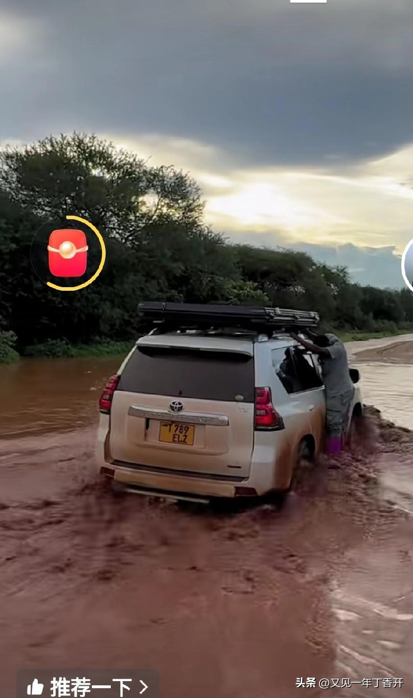 艰苦的环境映衬着旺盛的生命力

我最近特别喜欢看动物世界里的狮子，尤其坦桑尼亚大