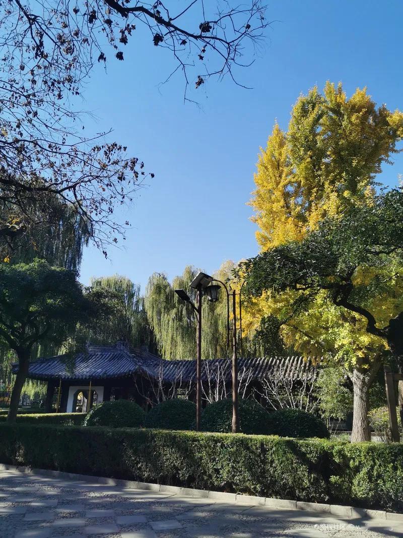 冬日生活打卡季