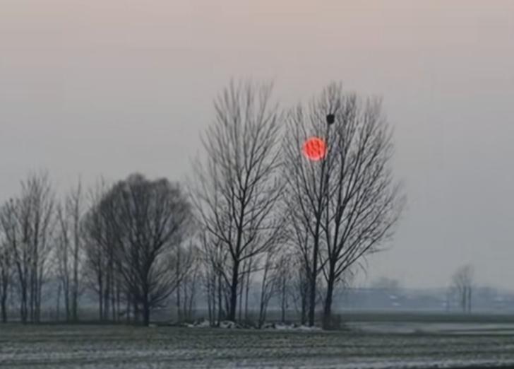 今年春节前后，我们晋南地区下了好几场雨。此刻我写头条时，窗外春雨正淅淅沥沥地下着