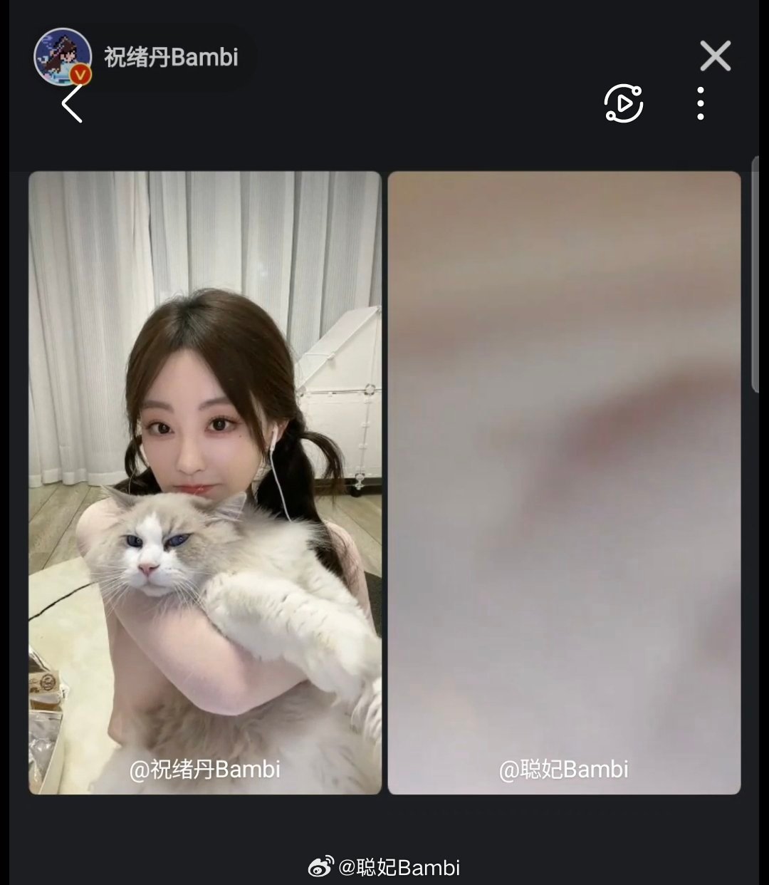 煮鸡蛋给我的专属头像已换上一年啦～