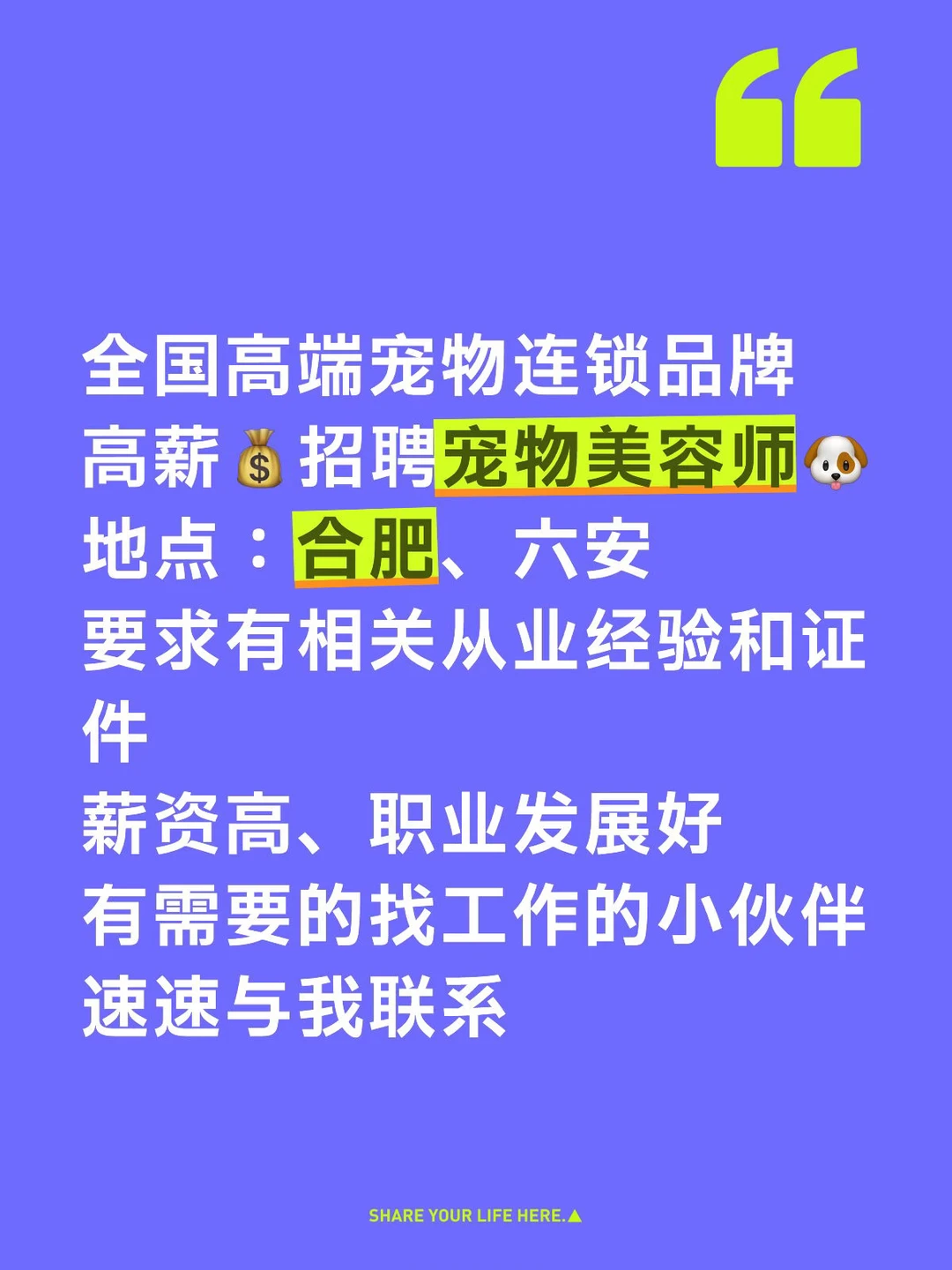 宠物洗护 美容师 宠物美容 合肥宠物店 宠物行业 宠物护理 专业美容师...