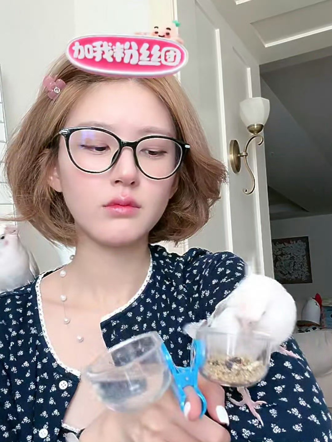 去年今日 好漂亮的短发妞妞 