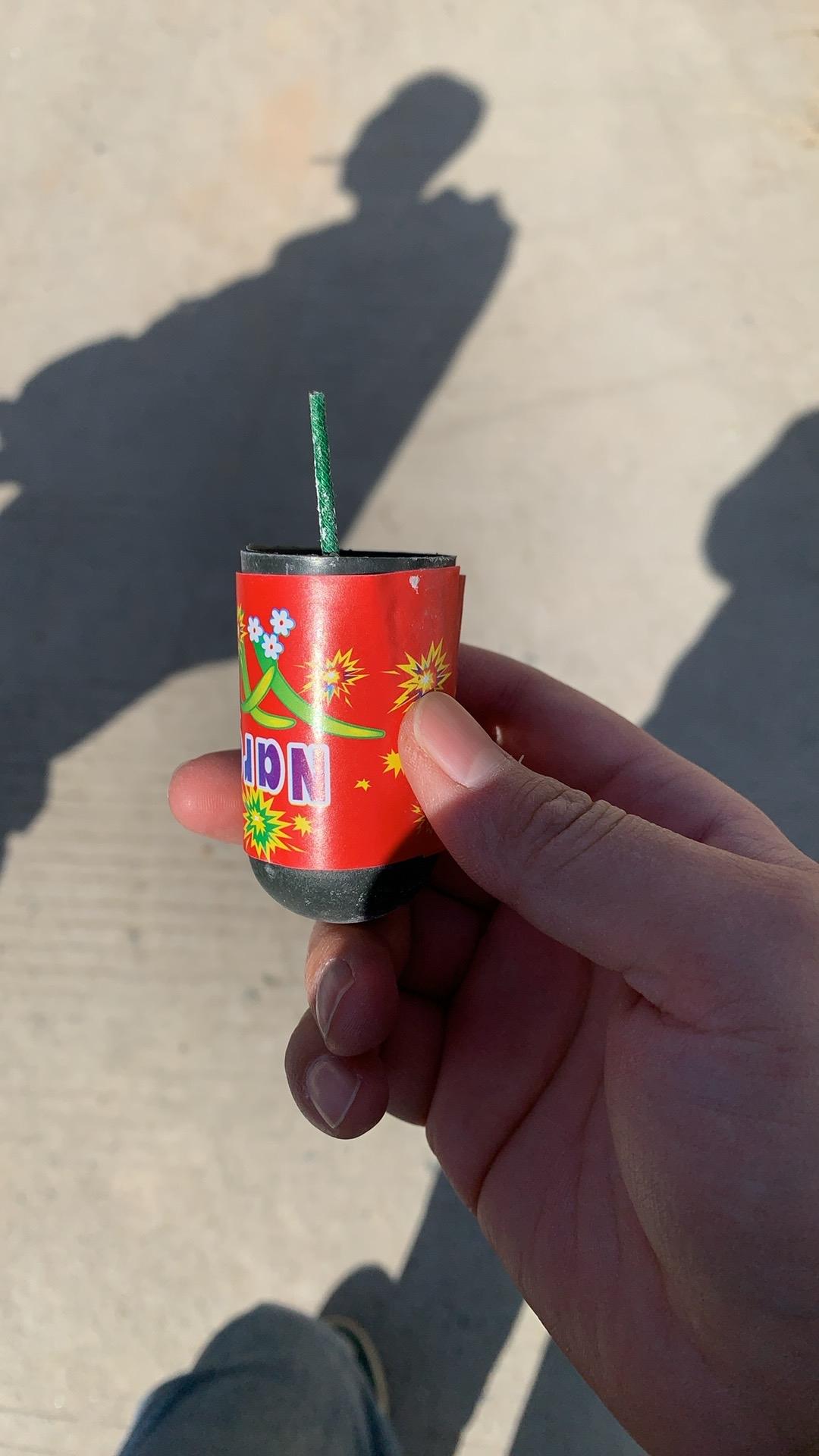 分享一张随手拍的花