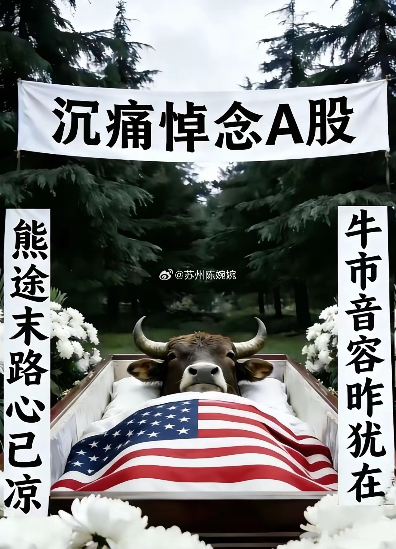 不知道说点什么好了 