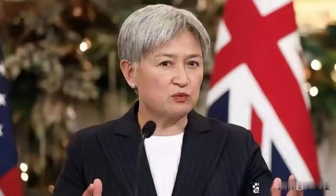 澳大利亚这类外国，最是会玩双标，天天把自己的老古董军舰开到别人家南海里挑衅，说成