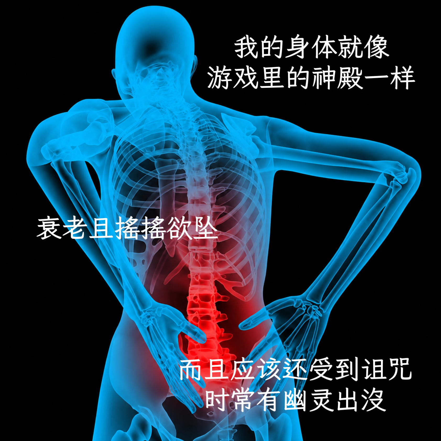 神圣躯体memes
