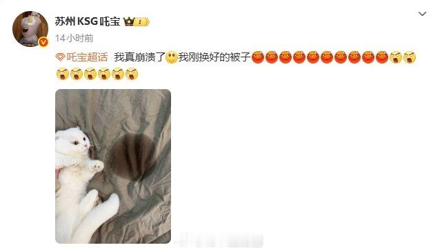 啾咪：我这个是太困了，多流了点口水 