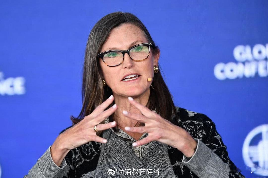 木头姐的故事凯茜·伍德（Cathie Wood）每天早上都会读《圣经》。她将自己