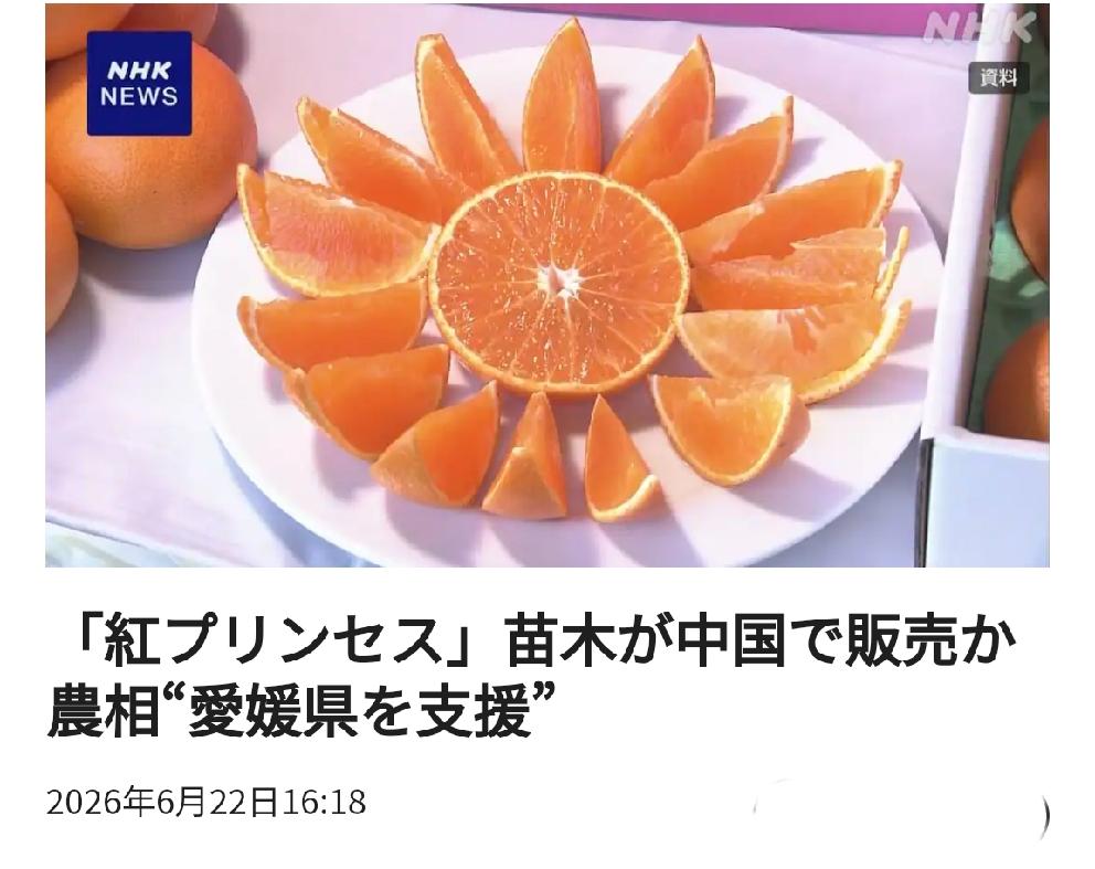 日本不满"红公主"树苗或在华销售 
        北京时间6月22日15:18