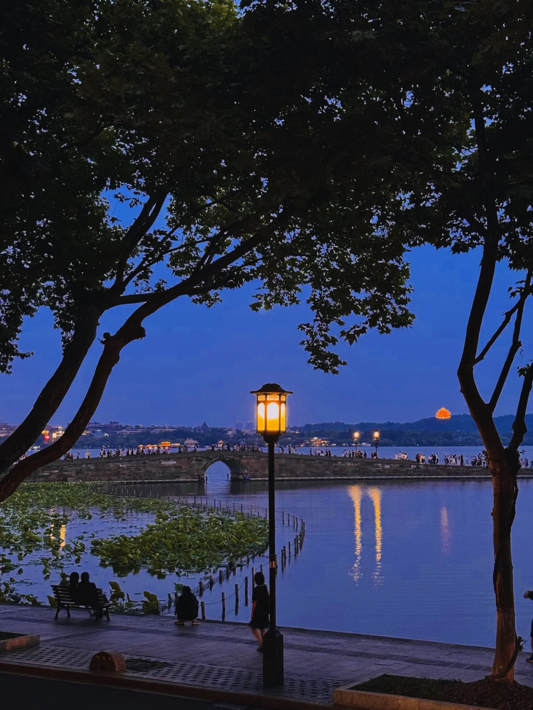 Live | 蓝调的西湖就是一个巨大的Lalaland