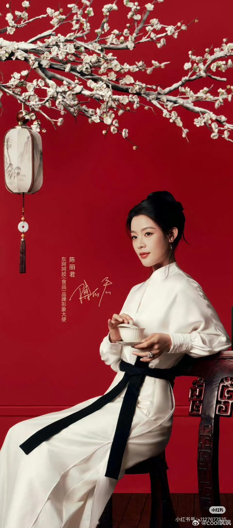 陈丽君   东阿阿胶新物料绝了真的超级适合国风，期待明天的小惊喜呀