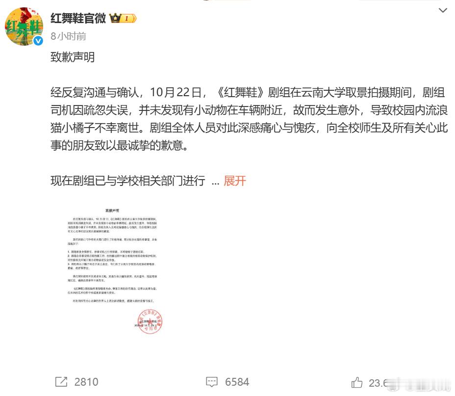 红舞鞋剧组回应撞猫事件红舞鞋致歉声明 网传《红舞鞋》剧组车辆在云南大学拍摄期间撞