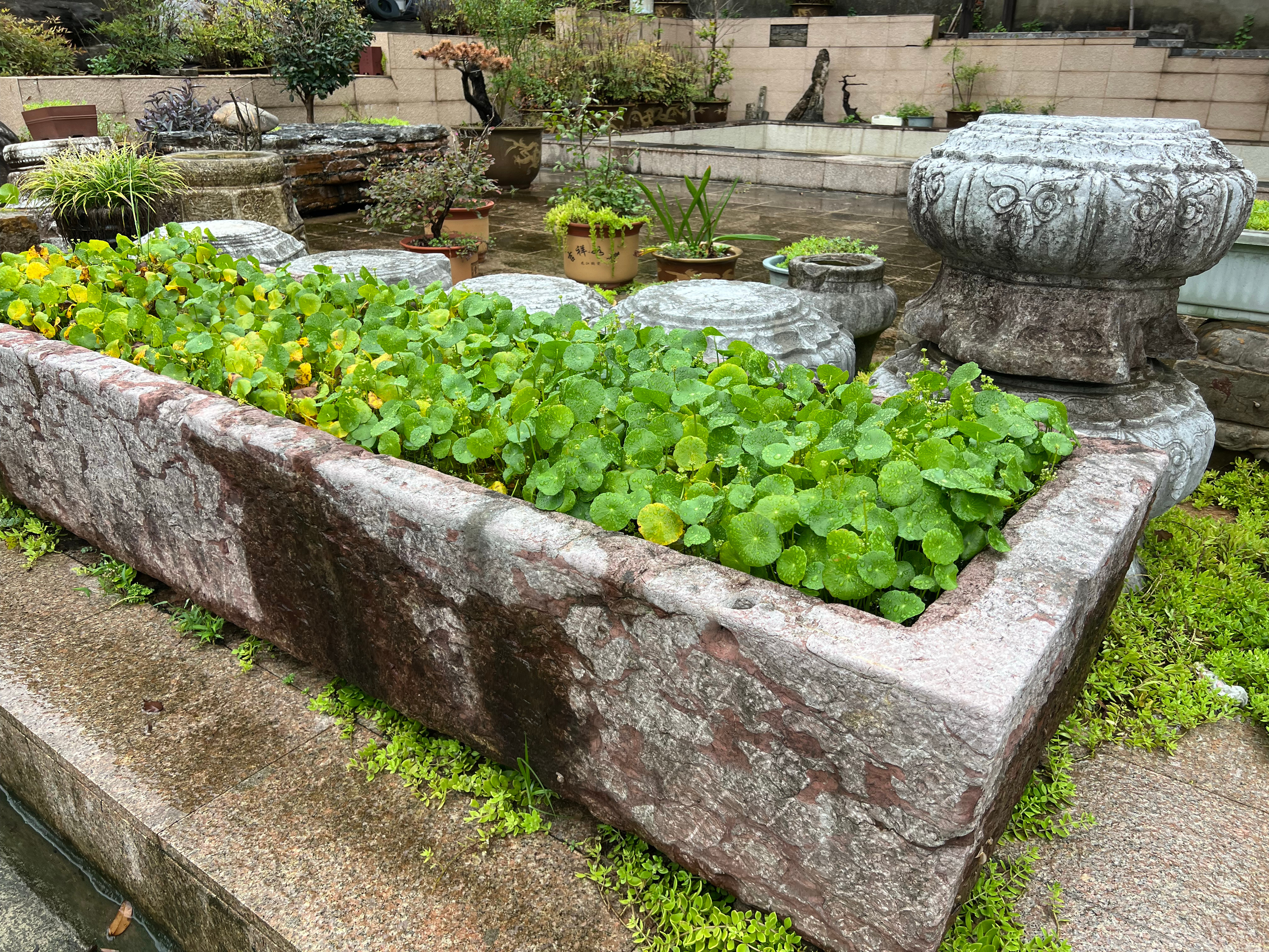 山里人家小院空间充足，随便种点花草，氛围感十足。 宜兴·陈家凹
