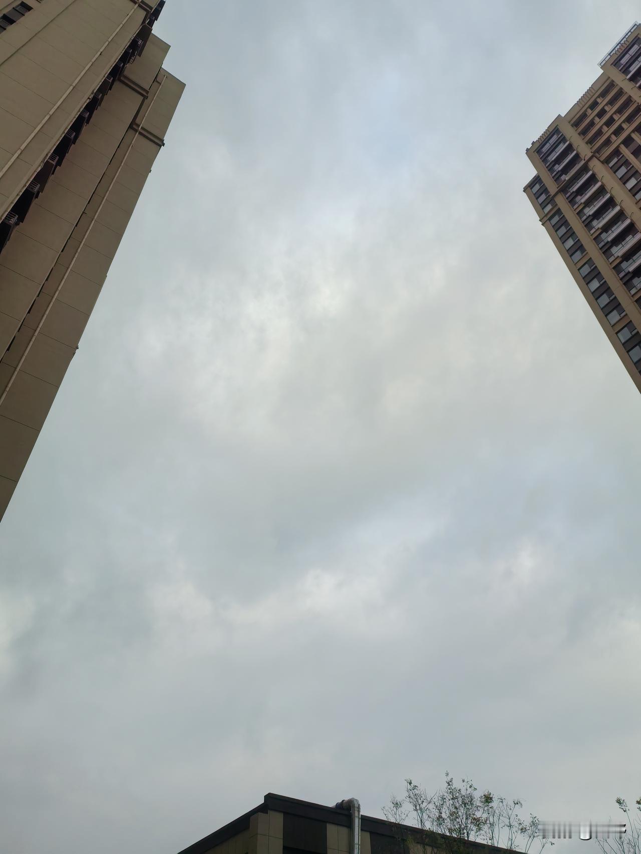 晒图笔记大赛天气阴，没下来，有点冷，温度个位数。