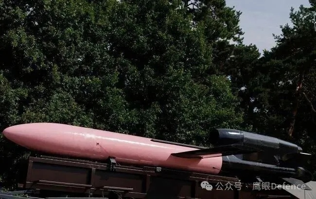 “火烈鸟”导弹威力巨大，但存在重量（6吨）和体积（长12米，翼展6米，弹体直径1
