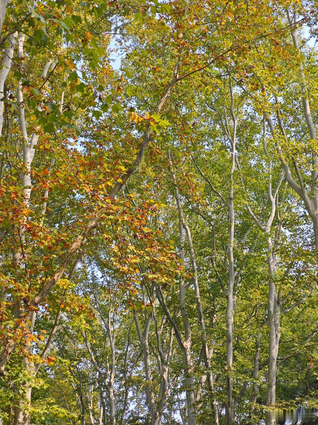 想来你此刻或许在奔赴另一座城市的列车上，看风景向后流淌；或许刚结束一场笔试，坐在