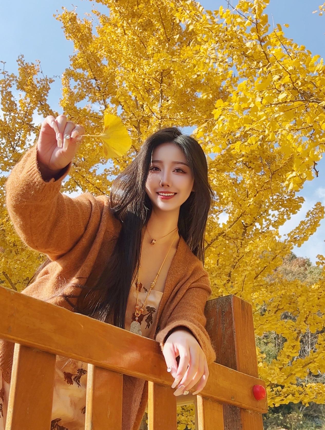 🍂初冬深秋的日子
赶上了银杏叶最后的绽放、落地金黄！🍁
银杏黄了 拍照📸 