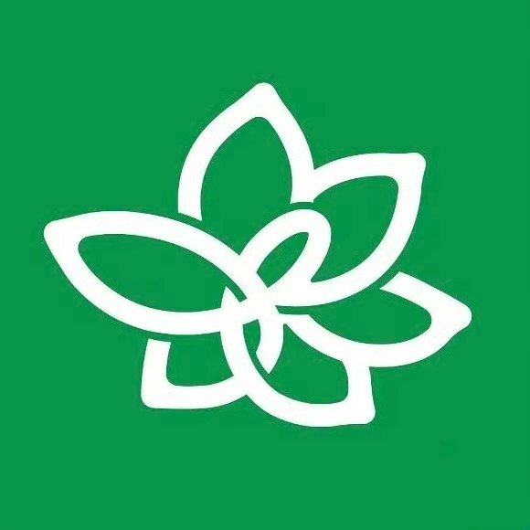 白玉兰换logo了白玉兰换logo 白玉兰换logo了 