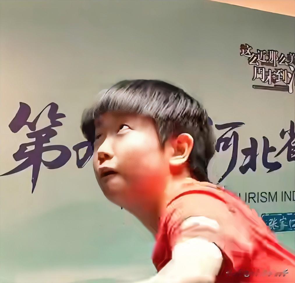 河北文旅这一波“护犊子”的操作，真看得人眼眶发热，这就叫亲妈粉吧！

这几天网上