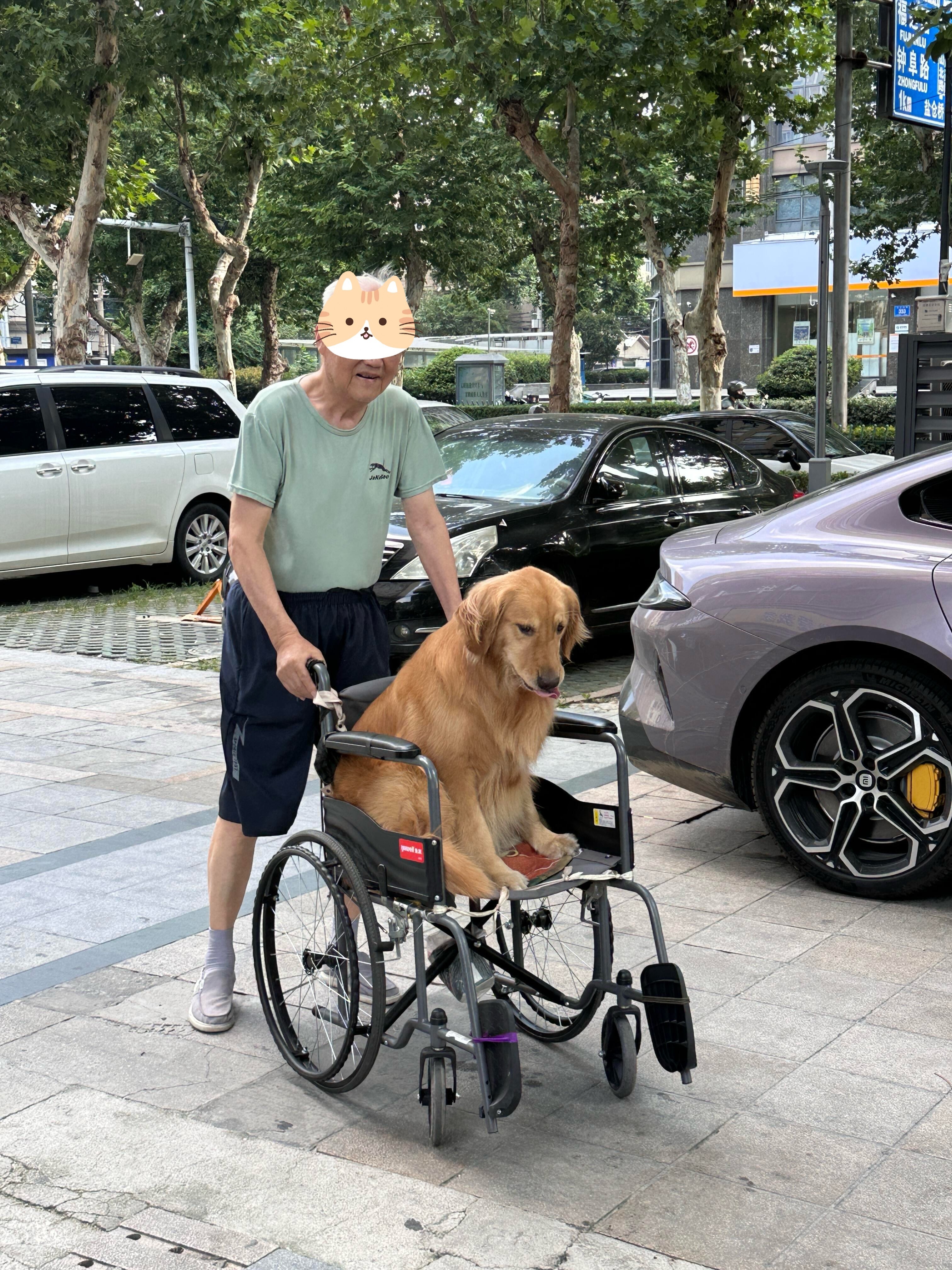 “得亏爷爷岁数够大，不然就得被问对父母有对狗这么好吗” 