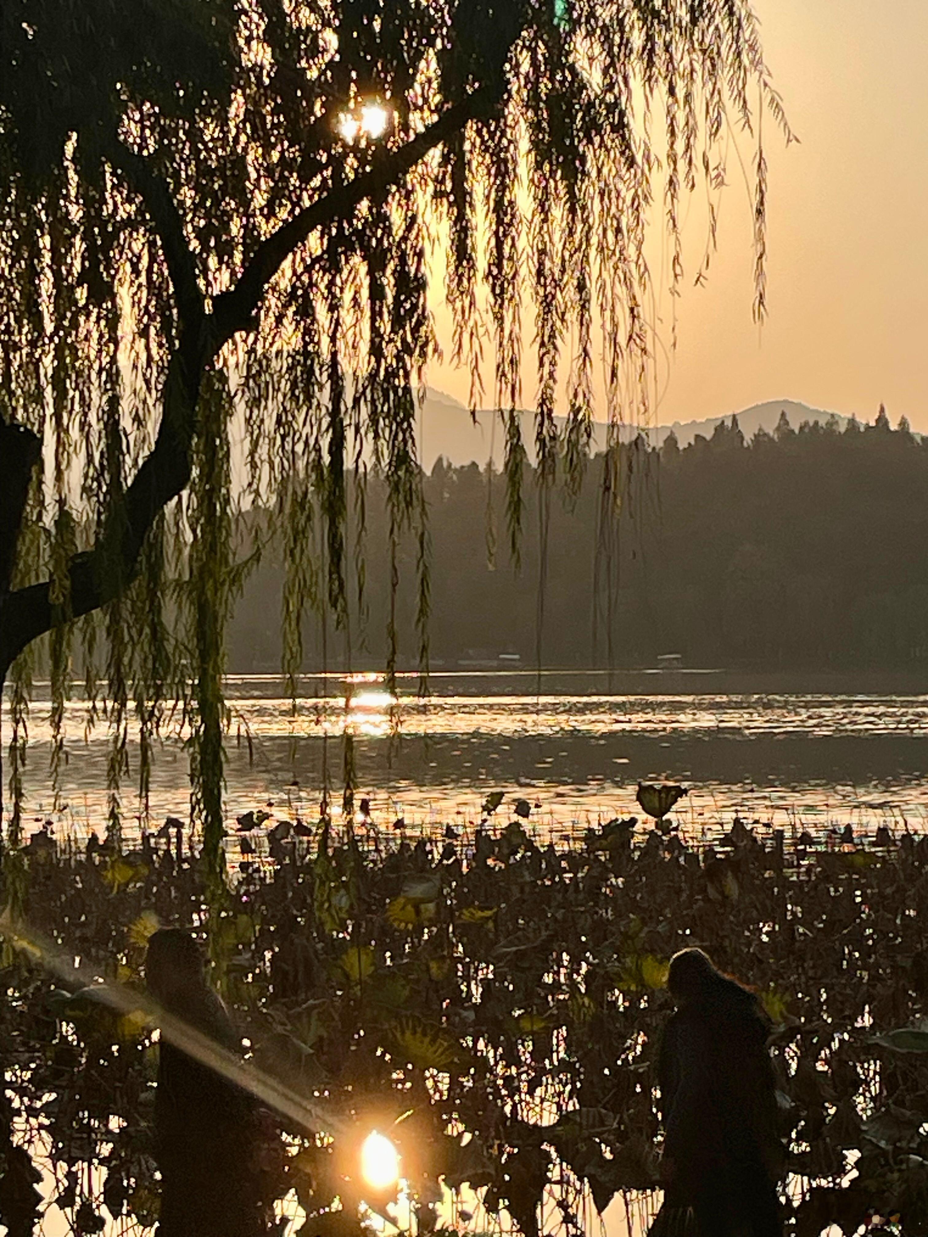 最近接到情绪比较激动的来访不少（虽然我这职业确实都是面对情绪问题）不过我还是想说