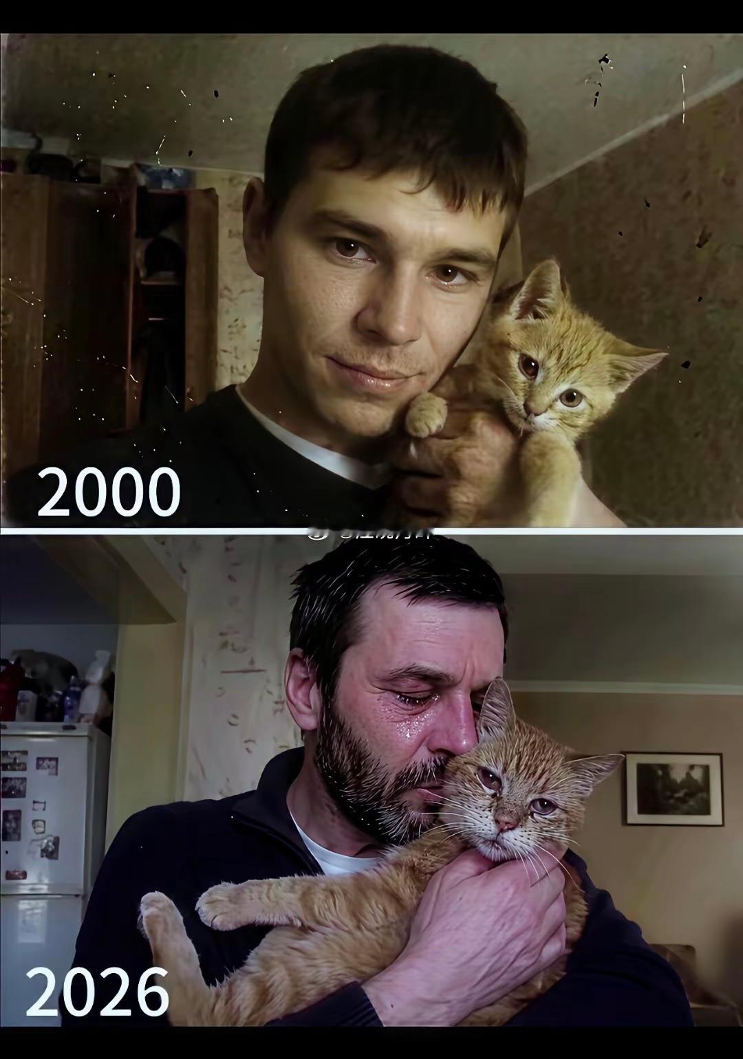 猫咪能活这么久吗 