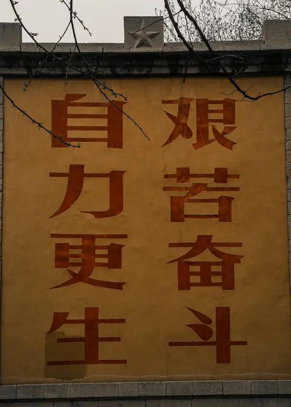 近代以来，中国更是在自强不息中实现了伟大飞跃。从被列强侵略的艰难处境中奋起，无数