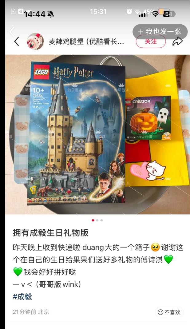 我没刷到就不用截图给我看了成毅生日抽奖还有乐高，还是我超爱的哈利波特系列！和哥哥