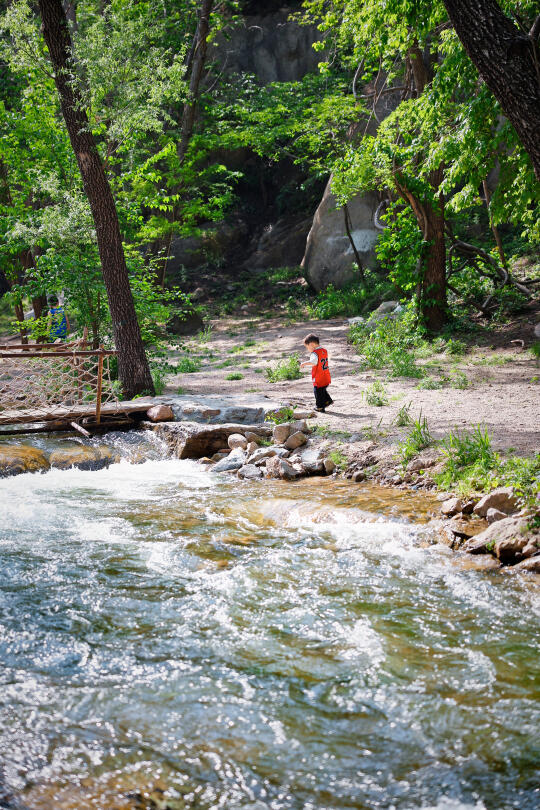 1h达的森系原生态露营地🔀溪边露营