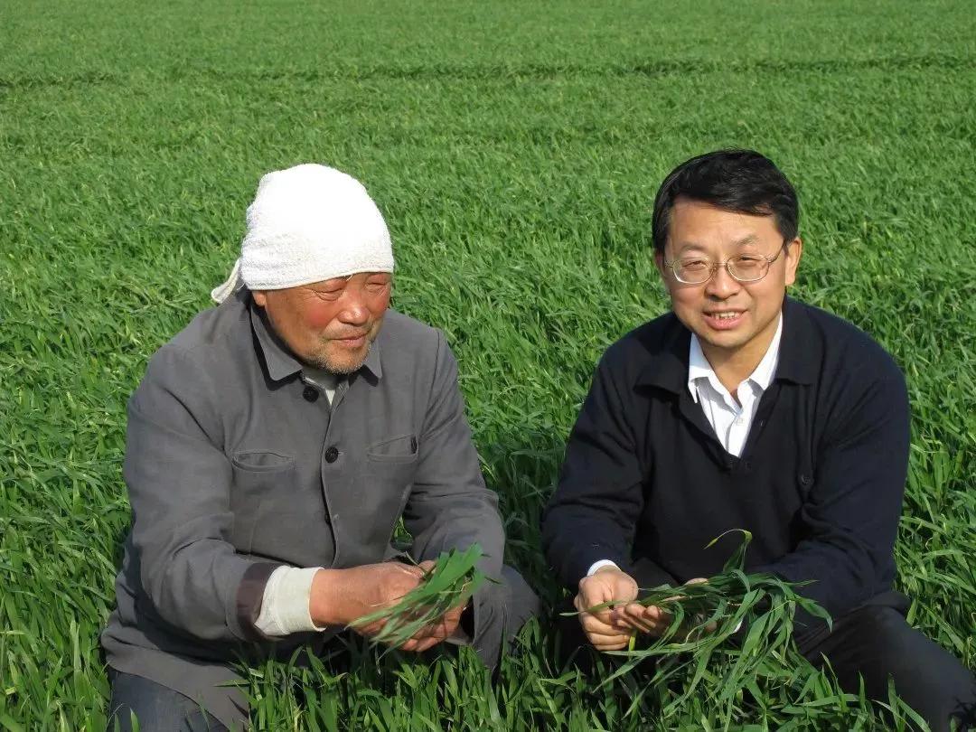 从事植物研究的两会代表张福锁院士提议，把高层次人才的培养转移到主战场上，改变大学