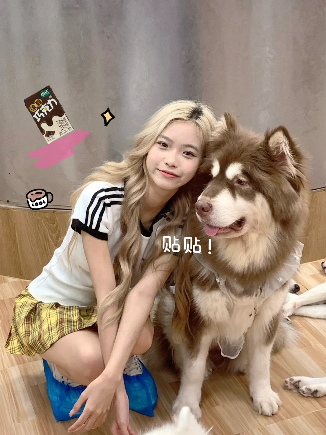 🍫'巧克力脑袋ʚ •͈˽•͈ ིྀɞ ‎