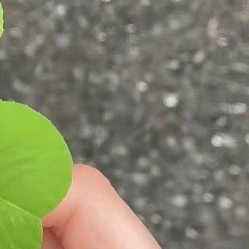 每日一善 🌱阳光信用 🌱每日一善 看淡拥有，不刻意追求某些东西，落叶归根，那