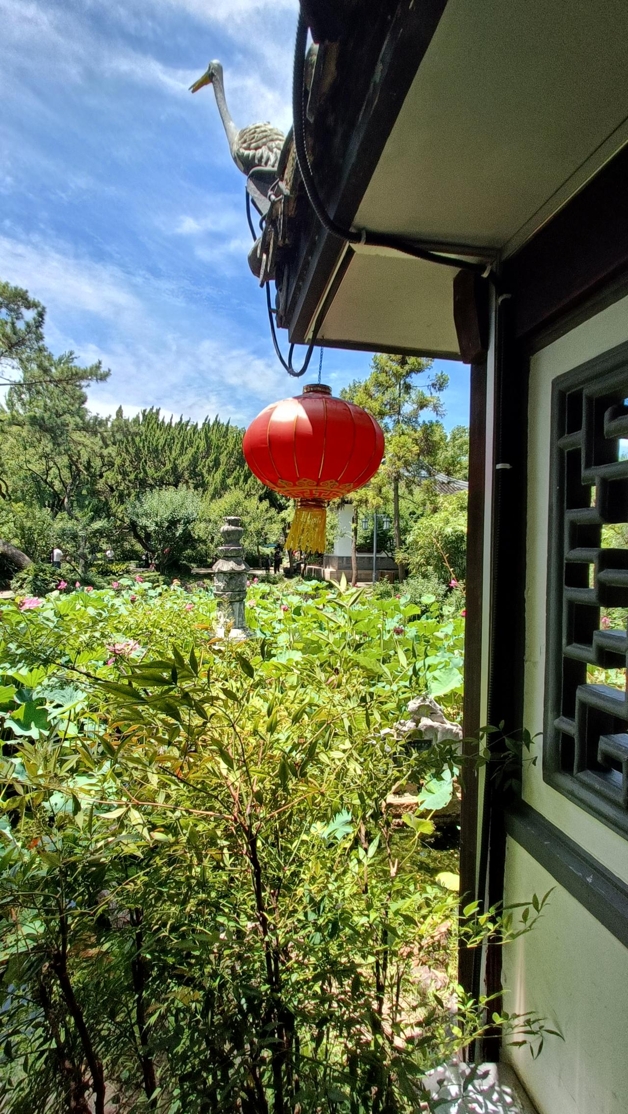 庭院深深，绿意盎然，红灯笼点缀，古韵悠长。
上联：灯笼映绿树，
下联：鸟儿鸣春晓